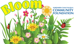 Springtime Bloom Graphic PNG image