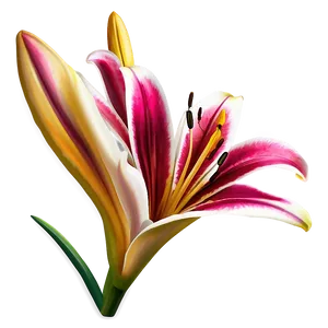 Springtime Lily Flower PNG 3 PNG