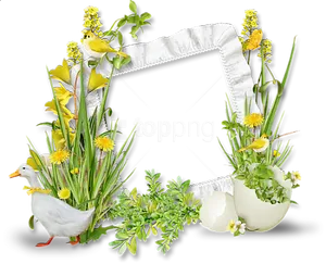 Springtime Nature Photo Frame PNG image