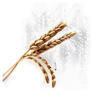 Sprinkling Water On Wheat Png 46 PNG image