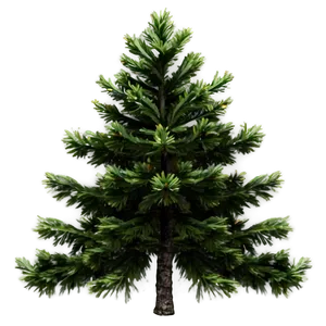 Spruce Tree In Alpine Environment PNG Rki21 PNG