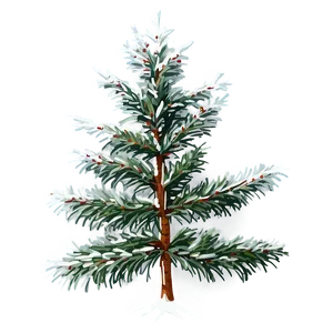 Spruce Tree In Foggy Weather PNG 06132024 PNG