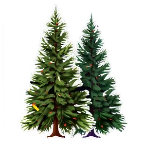 Spruce Tree In Foggy Weather PNG Dii PNG