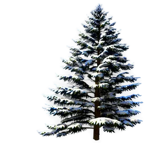 Spruce Tree In Four Seasons PNG 31 PNG