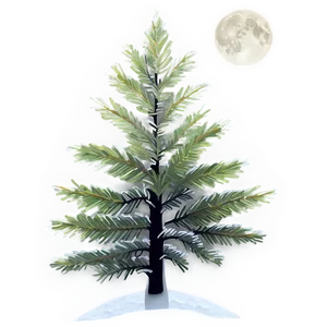 Spruce Tree In Full Moon Light PNG 53 PNG
