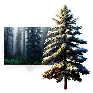 Spruce Tree In Misty Forest Png 33 PNG image