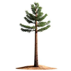 Spruce Tree In Mountainous Terrain PNG 27