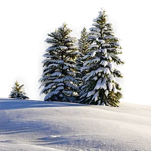 Spruce Tree In Snowy Landscape PNG Udq72 PNG
