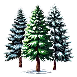 Spruce Tree Line Art PNG 06132024