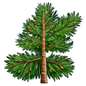 Spruce Tree Line Art PNG Tku59 PNG