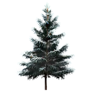 Spruce Tree On Hilltop View PNG 94