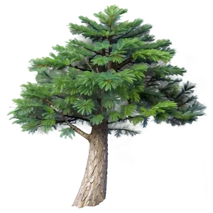Spruce Tree On Hilltop View PNG Mjs PNG
