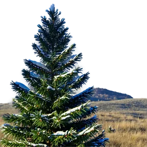 Spruce Tree On Hilltop View PNG Tnf PNG