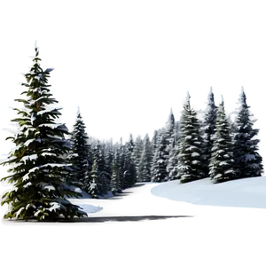 Spruce Tree Pathway Landscape PNG Hxe PNG