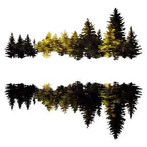 Spruce Tree Reflection In Lake PNG 06132024