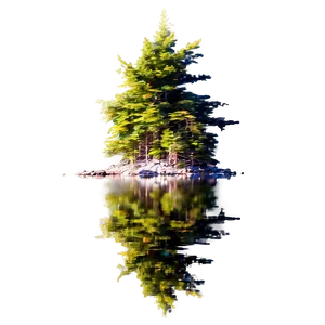 Spruce Tree Reflection In Lake PNG 73