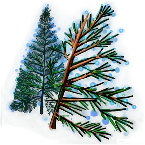 Spruce Tree Under Starry Sky Png 06132024 PNG image