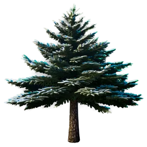 Spruce Tree Under Starry Sky Png 06132024 PNG image