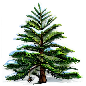 Spruce Tree Vector Outline PNG 06132024