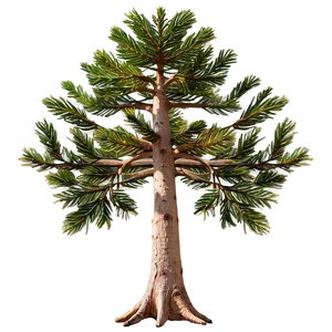 Spruce Tree With Root System PNG Rgr