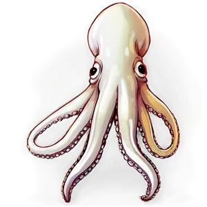 Squid Illustration PNG 38