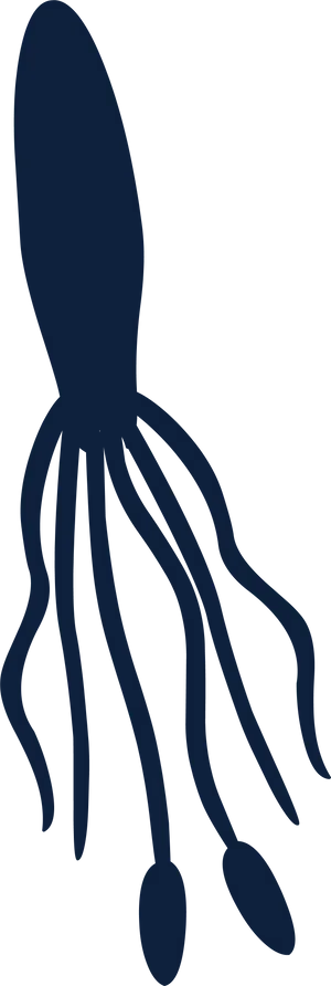 Squid Silhouette Graphic PNG image