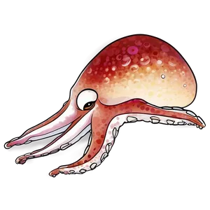 Squid Vector Art Png 05242024 PNG image