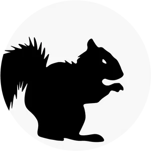 Squirrel Silhouette Graphic