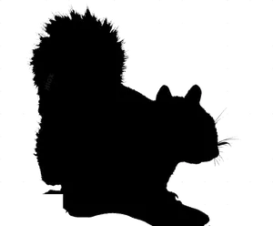 Squirrel Silhouette Profile