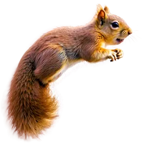 Squirrel Tail Png 48 PNG image