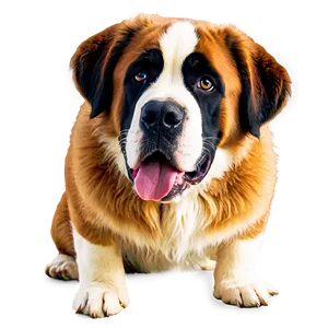 St Bernard Adventure Companion PNG 37