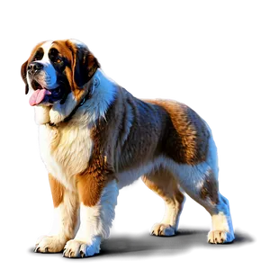 St Bernard Canine Giant PNG 06292024 PNG