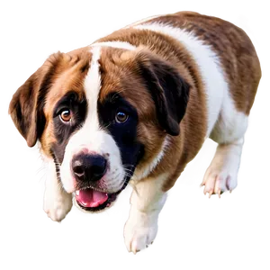 St Bernard Drooling Smile PNG Fkk91