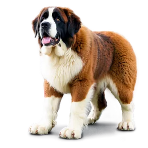 St Bernard Furry Friend PNG Muw78 PNG