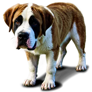 St Bernard Heroic Rescue PNG 33
