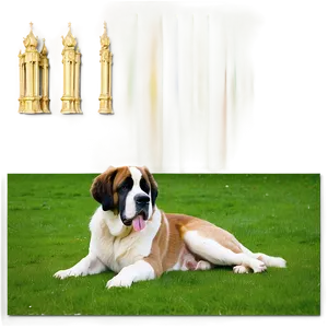 St Bernard Relaxing In Grass PNG Dbe