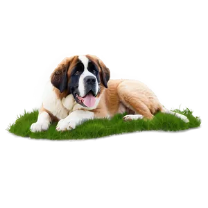 St Bernard Relaxing In Grass PNG Ejm57