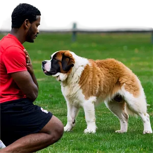 St Bernard Training Session PNG 06292024