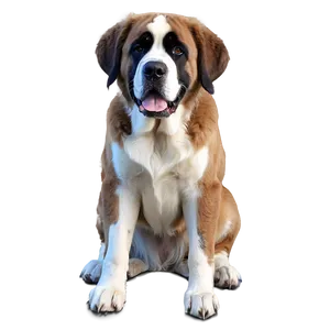 St Bernard With Festive Bow PNG Ptv9