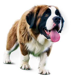 St Bernard With Flowing Fur PNG Uxq34 PNG
