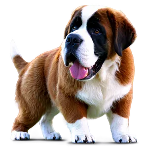 St Bernard With Toys PNG Nvc