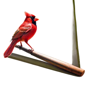 St. Louis Cardinals Logo PNG 06252024