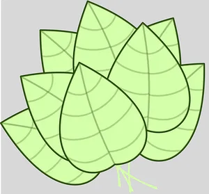 Stacked Green Leaves Illustration