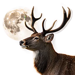 Stag And Full Moon PNG 06292024 PNG