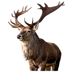 Stag And Nature PNG Ixg