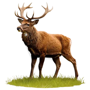 Stag And Nature PNG Lve78 PNG