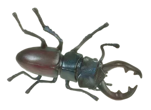 Stag Beetle Illustration PNG image
