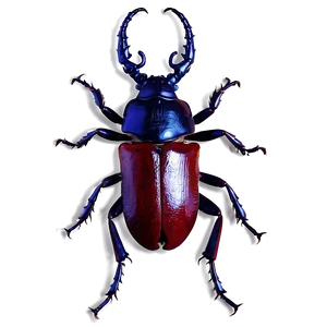 Stag Beetle Image PNG Hpp