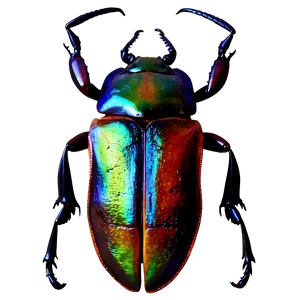 Stag Beetle Image PNG Raa89