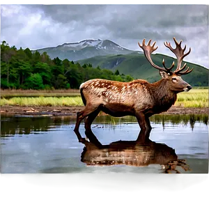 Stag By The Lake PNG Daj